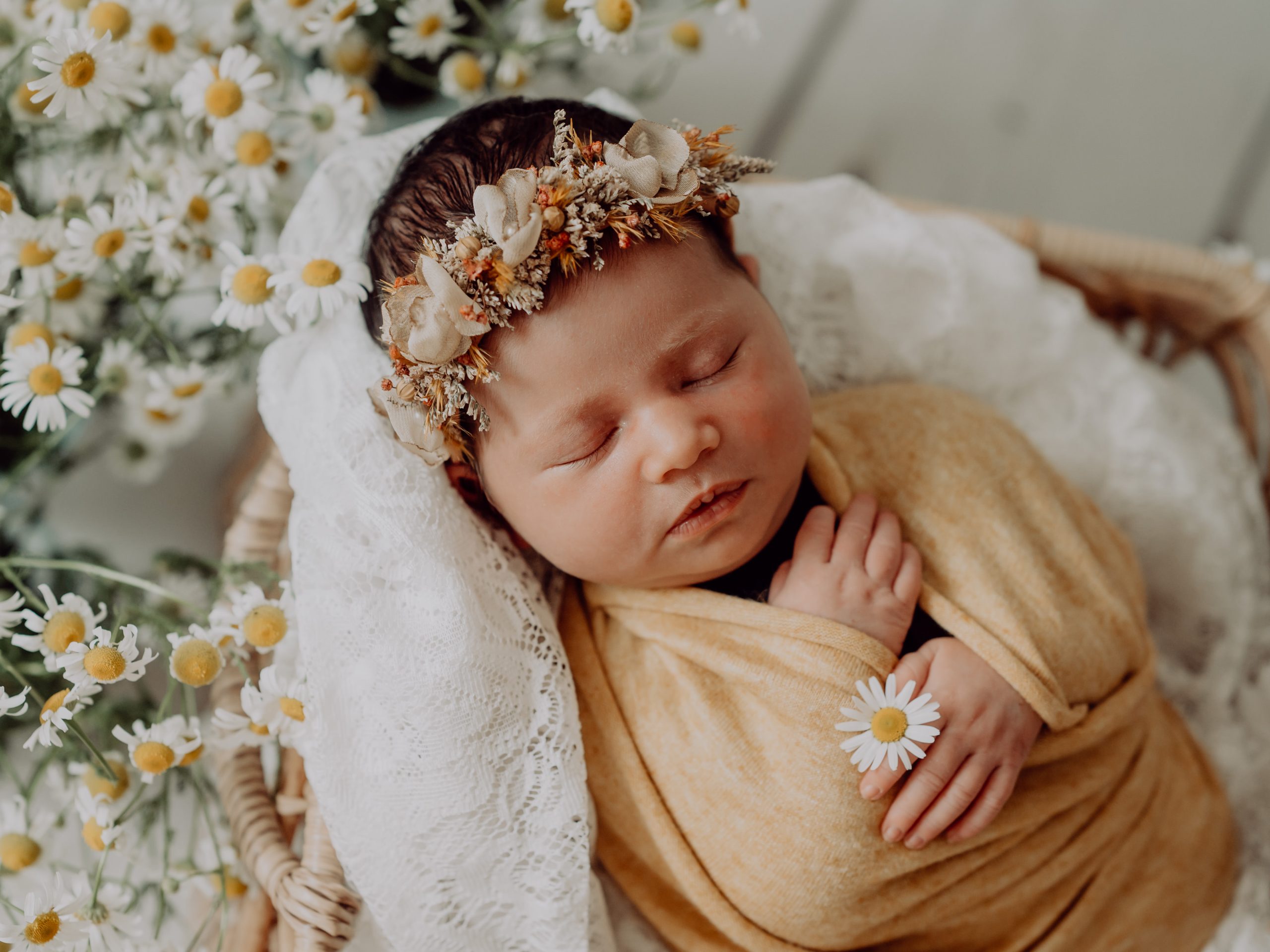 newborn-fotos-fotografin